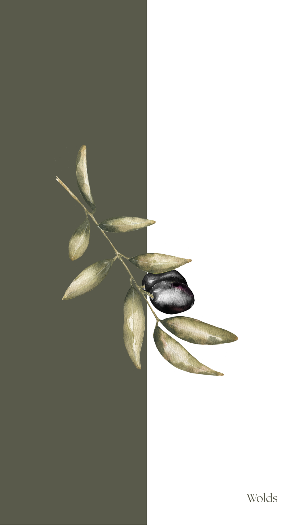 Olive Napkin