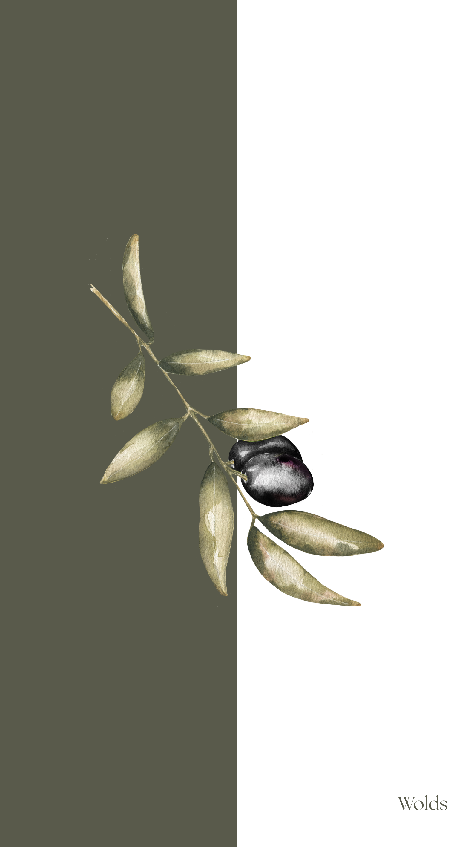 Olive Napkin
